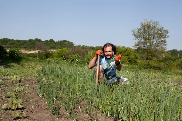 Man working in his garden — Stock Photo, Image