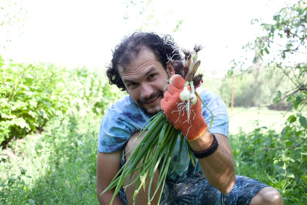 Man bedrijf groene uien — Stockfoto