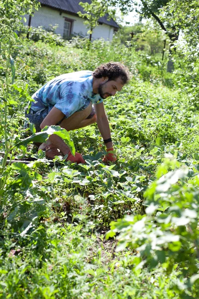 Homme travaillant dans son jardin — Photo