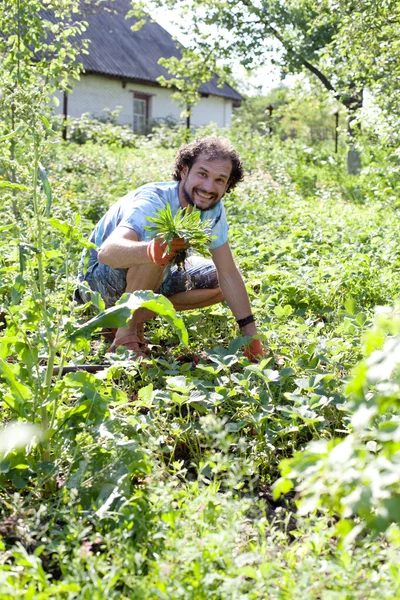 Man aan het werk in zijn tuin — Stockfoto