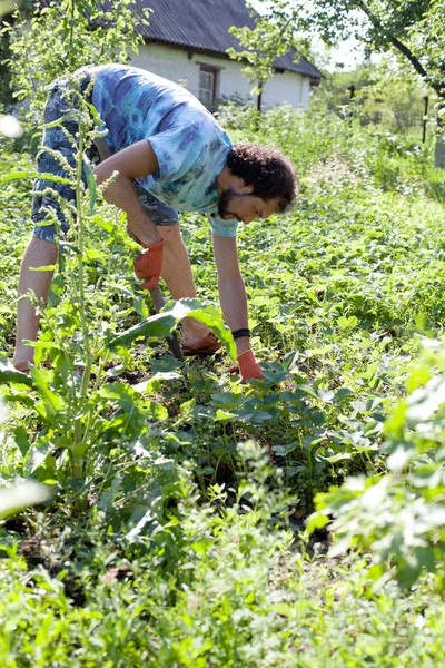 Mann arbeitet in seinem Garten — Stockfoto