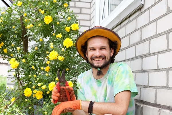 バラの茂みの近く剪定はさみを持つ男 — ストック写真