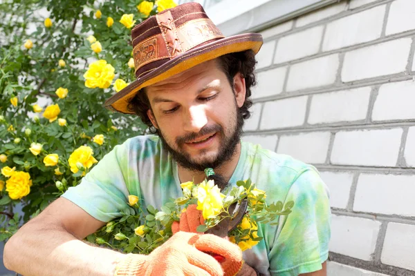 Muž řezání růže kytice — Stock fotografie