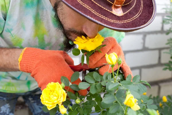 Чоловік нюхає квітку троянди — стокове фото