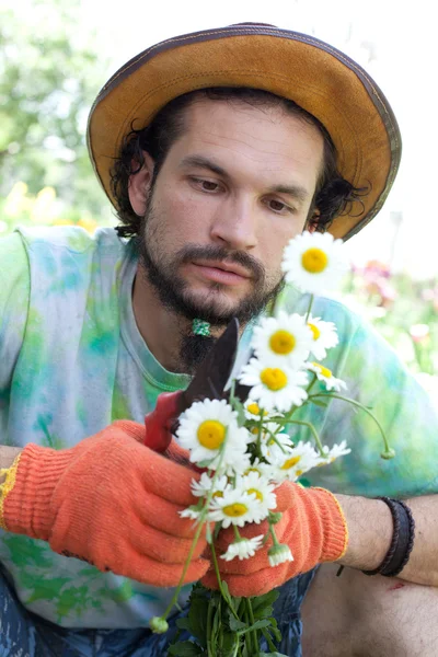 Man cutting the camomile bouquet — Stock Photo, Image