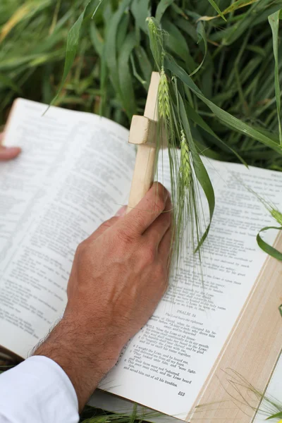 Man bidden voor goede tarwe jaar — Stockfoto