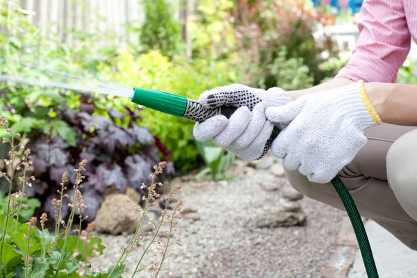 Watering the garden bed — Stock Photo, Image