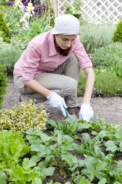 Jeune femme travaillant dans le lit de jardin — Photo