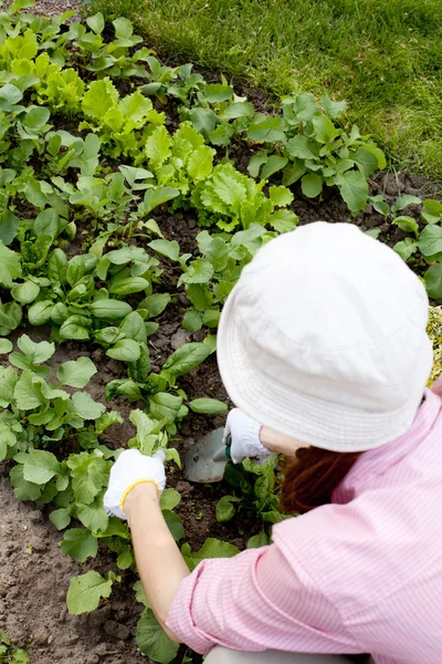 Wanita muda yang bekerja di kebun — Stok Foto