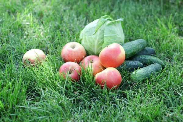 Pommes, chou et concombres dans le jardin — Photo