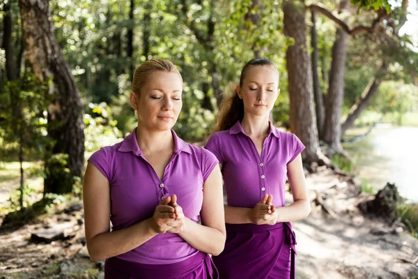 Group of practicing yoga — Stock Photo, Image