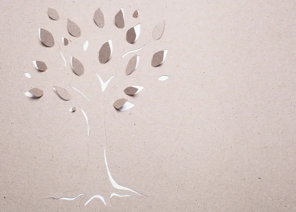 수 제 나무 — 스톡 사진