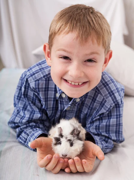 Young boy with guinea pig — Stock Photo, Image