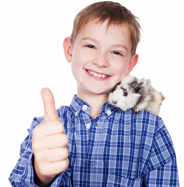 Young boy with guinea pig — Stock Photo, Image