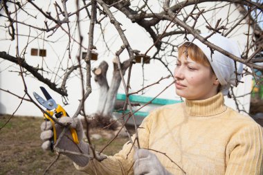 Bahçıvan bakım işi