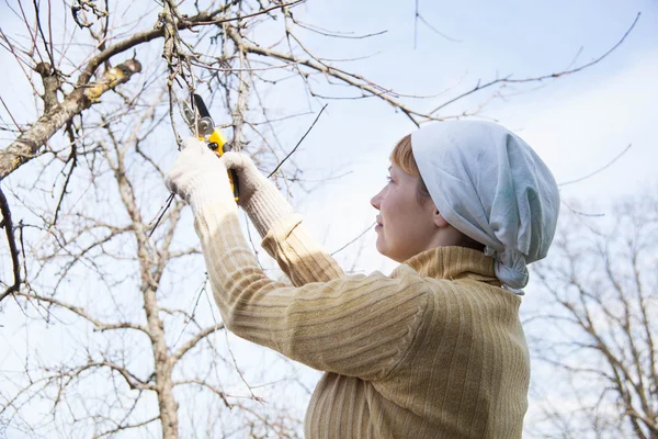 Jardinier faisant des travaux d'entretien — Photo