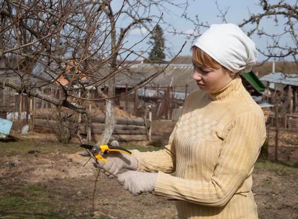 Jardinier faisant des travaux d'entretien — Photo