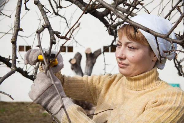 Ogrodnik robi prace konserwacyjne — Zdjęcie stockowe