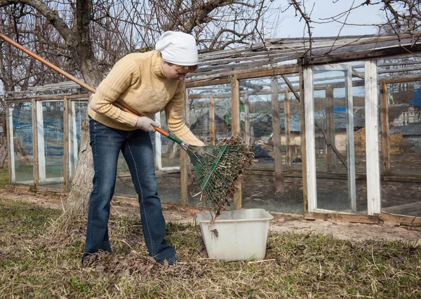 Jardinage, concept d'agriculture — Photo