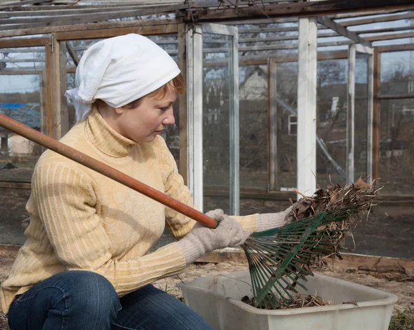 Jardinagem, conceito de agricultura — Fotografia de Stock