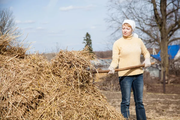 Gardening, agriculture concept — Stock Photo, Image