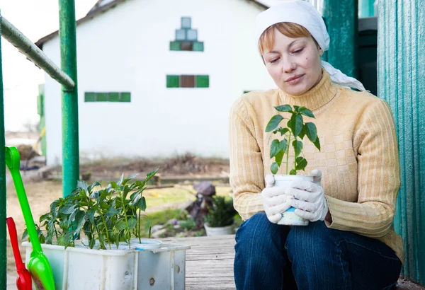 Berkebun, menanam konsep — Stok Foto