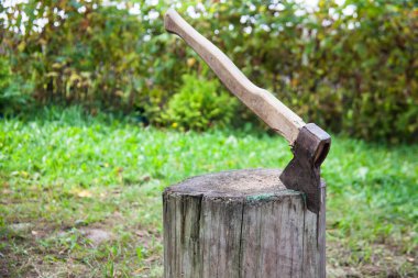 balta yığını gövde