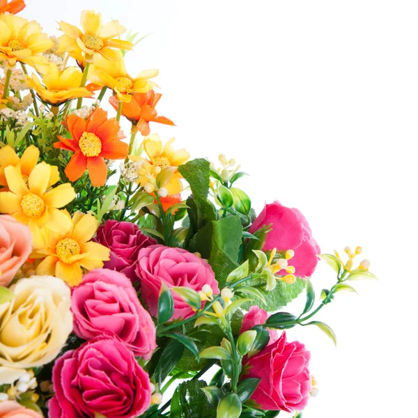 Beautiful flowers — Stock Photo, Image