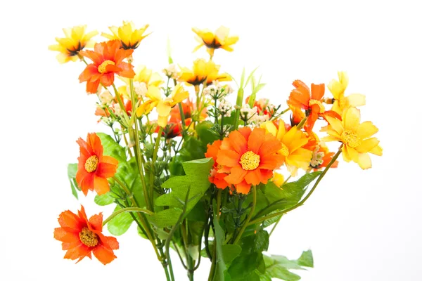 Schöne Blumen — Stockfoto