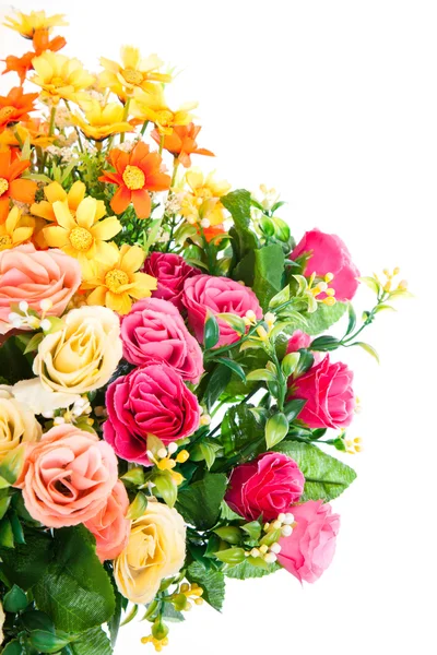 Beautiful flowers — Stock Photo, Image