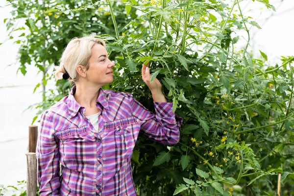 Freundlicher Bauer Bei Der Arbeit Gewächshaus — Stockfoto