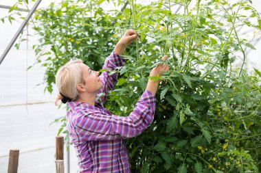 Serada çalışan dost canlısı çiftçi..