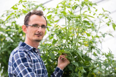 Serada çalışan dost canlısı çiftçi..