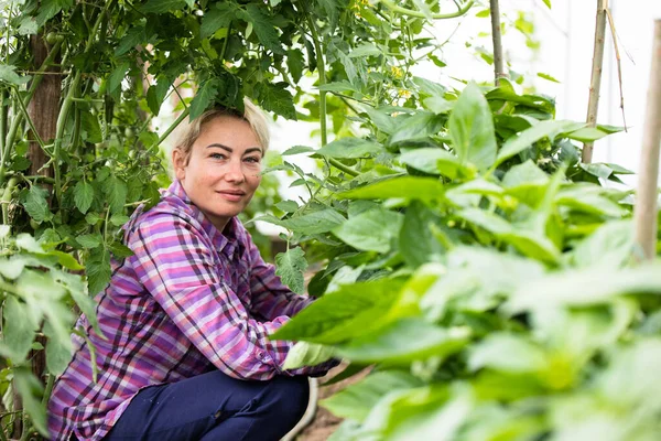 温室で働くフレンドリーな農家 — ストック写真