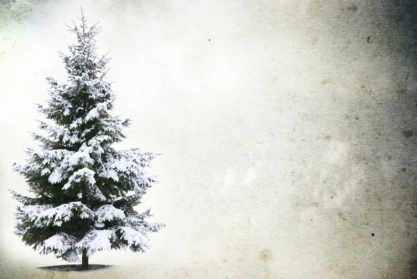Κατεψυγμένα δέντρο στο χιονισμένο — Φωτογραφία Αρχείου