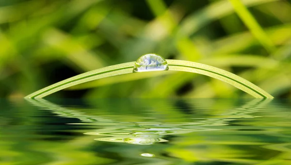 Gota de lluvia —  Fotos de Stock