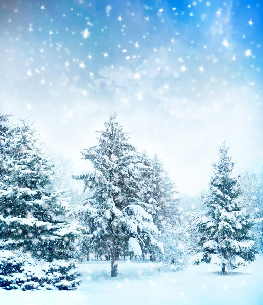 Árbol de Navidad en la nieve —  Fotos de Stock