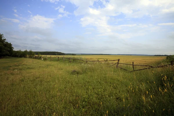 Paisaje — Foto de Stock