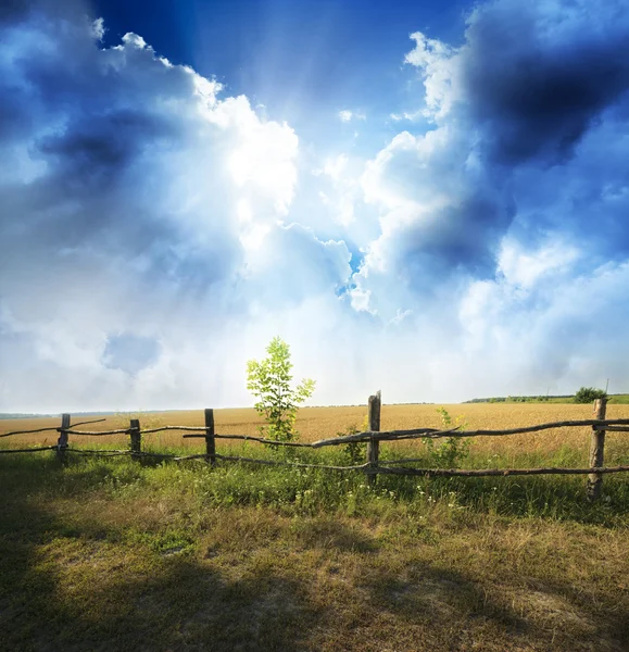 Paisaje — Foto de Stock