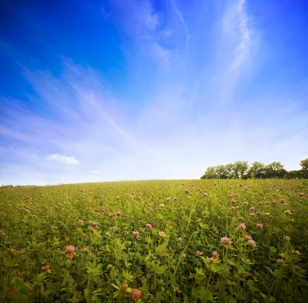 Paisaje — Foto de Stock