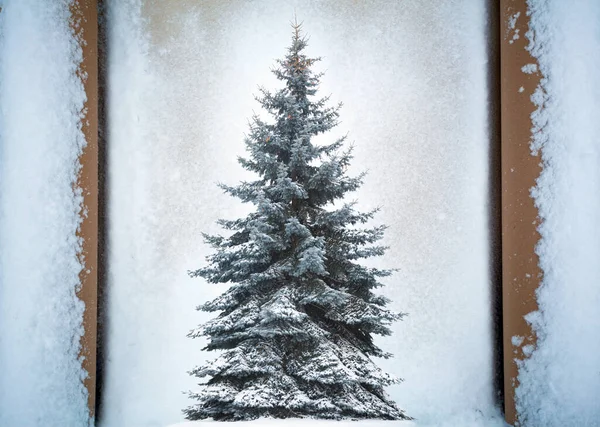 Χριστουγεννιάτικο Δέντρο Απομονωμένο Φόντο Χιονιού Καλά Χριστούγεννα Και Ευτυχισμένο Νέο — Φωτογραφία Αρχείου