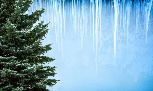 Weihnachtsbaum Isoliert Über Lebendigen Farben Hintergrund Mit Hängenden Eiszapfen Frohe — Stockfoto