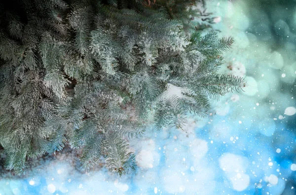 Albero Natale Isolato Colori Vivaci Sfondo Buon Natale Felice Anno — Foto Stock