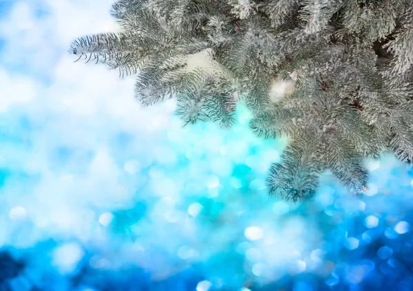 Weihnachtsbaum Isoliert Über Lebendigen Farben Hintergrund Frohe Weihnachten Und Ein — Stockfoto