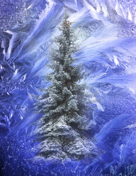 圣诞树 隔离在充满活力的颜色背景 圣诞快乐 新年快乐理念 — 图库照片