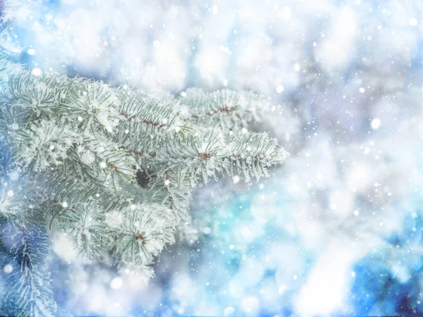 Weihnachtsbaum Isoliert Über Lebendigen Farben Hintergrund Frohe Weihnachten Und Ein Stockfoto