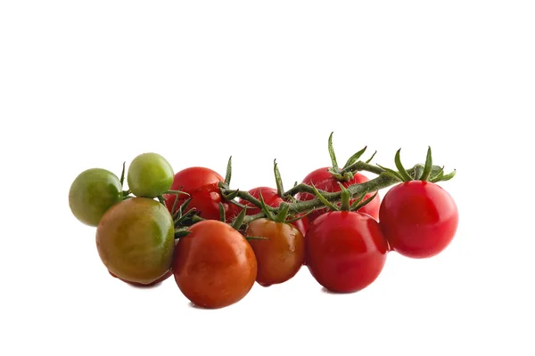 Tomates cereja — Fotografia de Stock