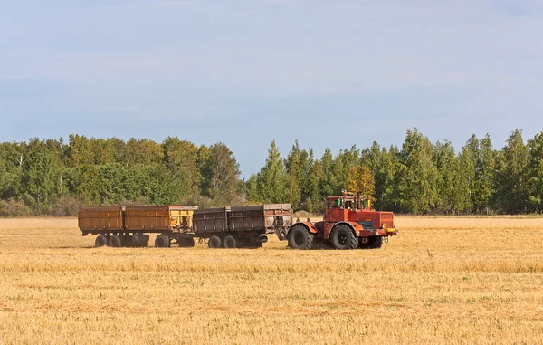 Traktor im Feld — Stockfoto