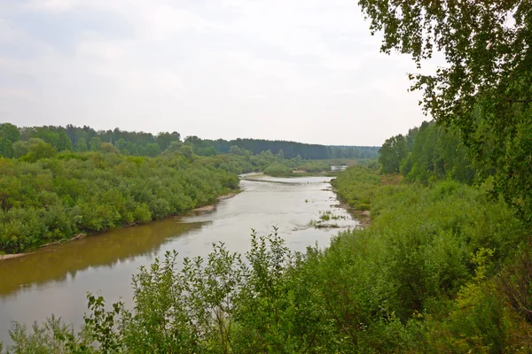 Summer landscape — Stock Photo, Image