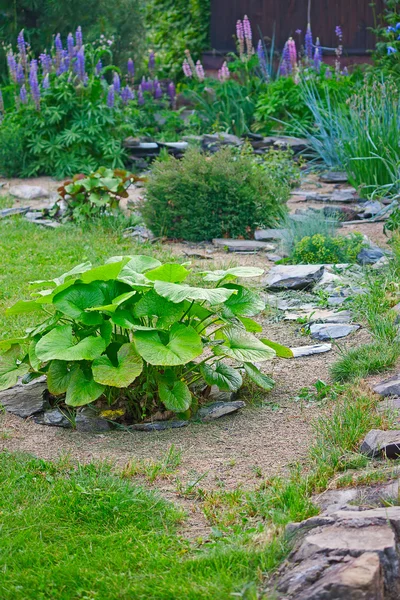 Bahçenin bir köşesinde — Stok fotoğraf